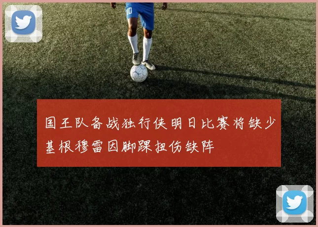国王队备战独行侠明日比赛将缺少基根穆雷因脚踝扭伤缺阵