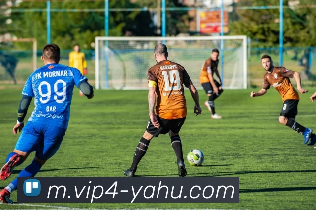 雅虎体育平台生态图